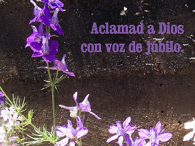 [Aclamad a Dios con voz de júbilo (Salmo 47.1)]