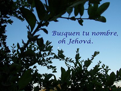 [Busquen tu nombre, oh Jehová (Salmo 83.16)]