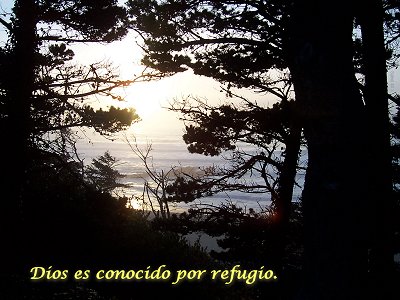 [Dios es conocido por refugio (Salmo 48.3)]