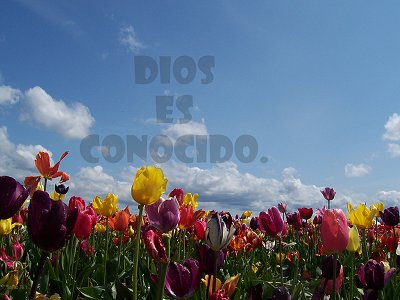 [Dios es conocido (Salmo 76.1)]