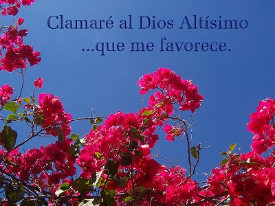 [Clamaré al Dios Altísimo...que me favorece (Salmo 57.2)]