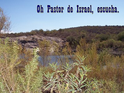 [Oh Pastor de Israel, escucha (Salmo 80.1)]