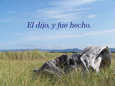 [El dijo, y fue hecho (Salmo 33.9)]