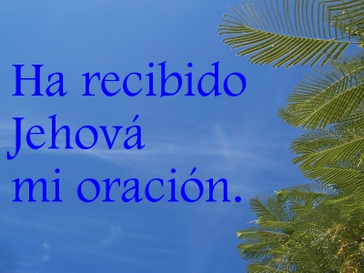 [Ha recibido Jehov&aacute; mi oraci&oacute;n (Salmo 6:9)]