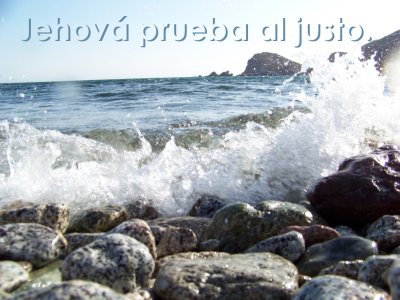 [Jehov&aacute; prueba al justo (Salmo 11.5)]