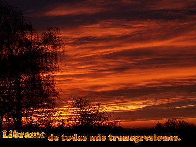 [L&iacute;brame de todas mis transgresiones (Salmo 39.8)]