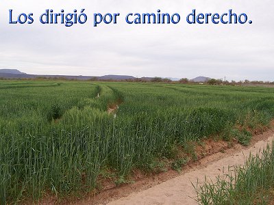 [Los dirigió por camino derecho (Salmo 107.7)]