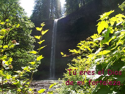 [Tú eres el Dios de mi fortaleza (Salmo 43.2)]