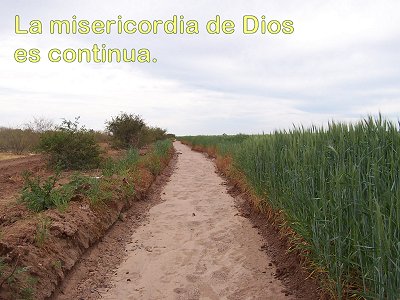 [La misericordia de Dios es continua (Salmo 52.misericordiacontinua)]