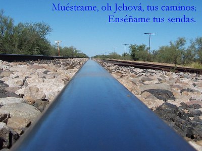 Muéstrame, oh Jehová, tus caminos; enséñame tus sendas.