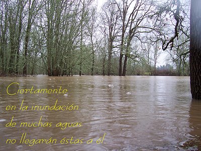 [Ciertamente en la inundación de muchas aguas no llegarán éstas a él (Salmo 32.6)]