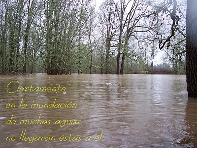 [Ciertamente en la inundaci&oacute;n de muchas aguas no llegar&aacute;n &eacute;stas a &eacute;l (Salmo 32.6)]