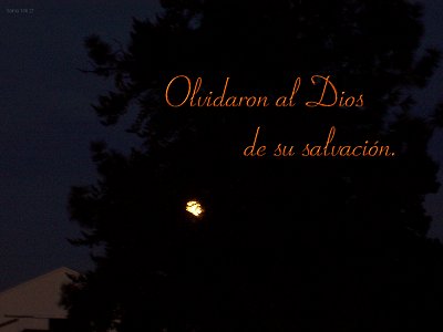 [Olvidaron al Dios de su salvación (Salmo 106.21)]