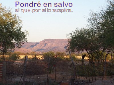 [Pondr&eacute; en salvo al que por ello suspira (Salmo 12:5)]