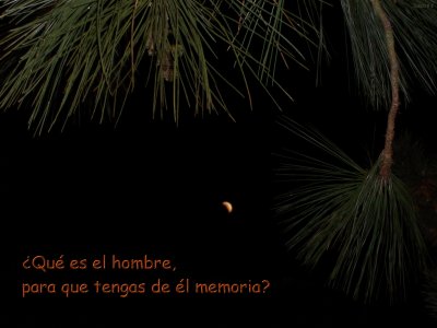 [¿Qu&eacute; es el hombre, para que tengas de &eacute;l memoria? (Salmo 8:4)]