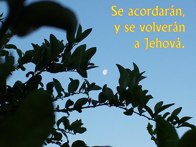 [Se acordarán, y se volverán a Jehová (Salmo 22.27)]