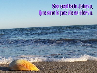 [Sea exaltado Jehov&aacute;, Que ama la paz de su siervo (Salmo 35.27)]