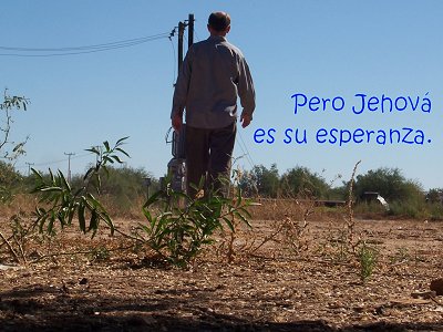 [Pero Jehová es su esperanza (Salmo 14.6)]