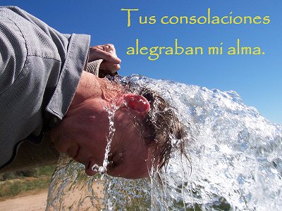 [Tus consolaciones alegraban mi alma (Salmo 94.19)]