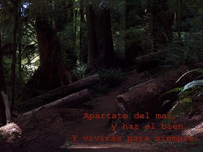 [Ap&aacute;rtate del mal, y haz el bien, Y vivir&aacute;s para siempre (Salmo 37.27)]