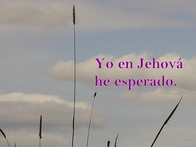 [Yo en Jehová he esperado (Salmo 31.6)]