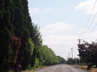 Leaving Hubbard on Whiskey Hill Road toward Hopewell Mennonite Church