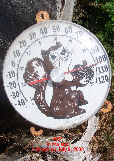 Thermometer in the sun