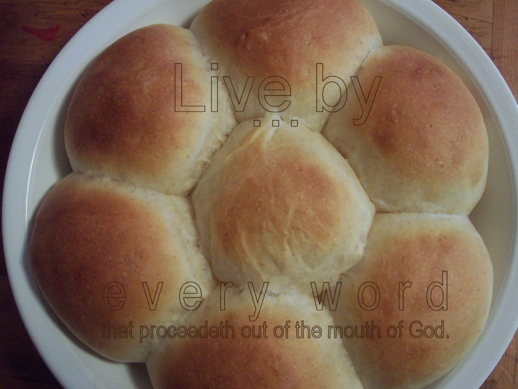 bread photo: live by every word that comes out of God's mouth