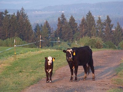 Mom and kid with God's background