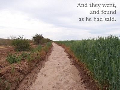 [And they went, and found as he had said (Luke 22:13)]