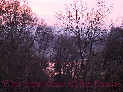 [The beauties of holiness (Psalm 110:3)]