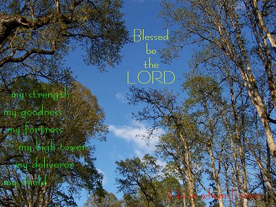 [Blessed be the LORD my strength...my goodness...my fortress...my high tower...my deliverer...my shield...he in whom I trust (Psalm 144:1,2)]