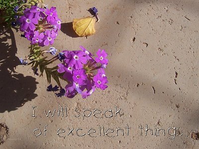 I will speak of excellent things (Proverbs 8:6)