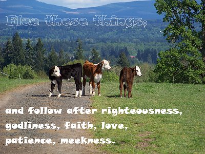 [Flee these things; and follow after righteousness, godliness, faith, love, patience, meekness (1 Timothy 6:11)]