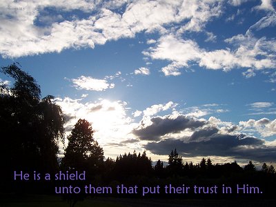 [He is a shield unto them that put their trust in him (Proverbs 30:5)]