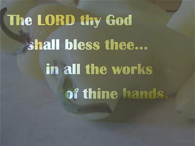[The LORD thy God shall bless thee...in all the works of thine hands (Deuteronomy 16:15)]