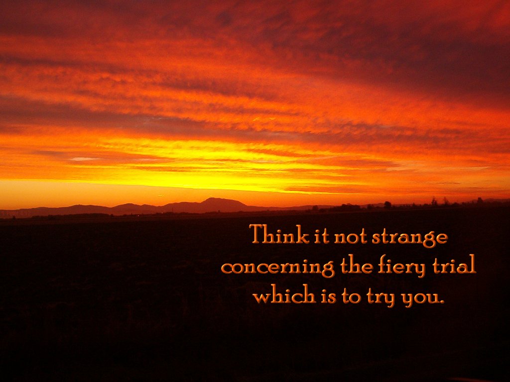 Think it not strange concerning the fiery trial which is to try you (1 Peter 4:12)