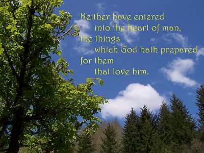 [Neither have entered into the heart of man, the things which God hath prepared for them that love him (1 Corinthians 2:9)]