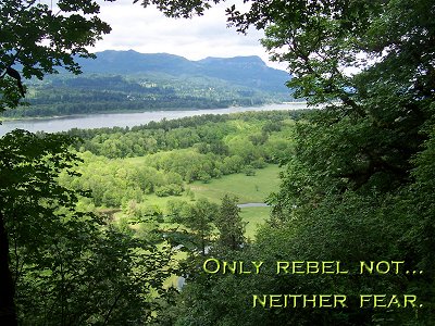 [The Scriptures say in Numbers 14:9 -- Only rebel not...neither fear]