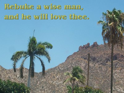 [Rebuke a wise man, and he will love thee (Proverbs 9:8)]