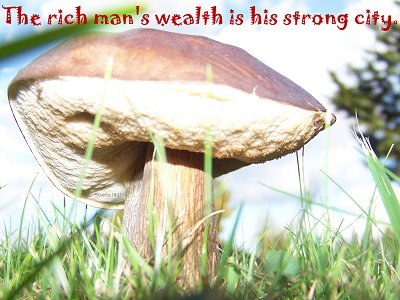 [The rich man's wealth is his strong city, and as an high wall in his own conceit (Proverbs 18:11)]