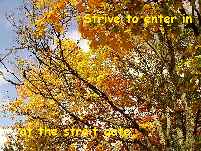 [Strive to enter in at the strait gate (Luke 13:24)]