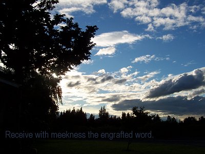 [Receive with meekness the engrafted word (James 1:21)]