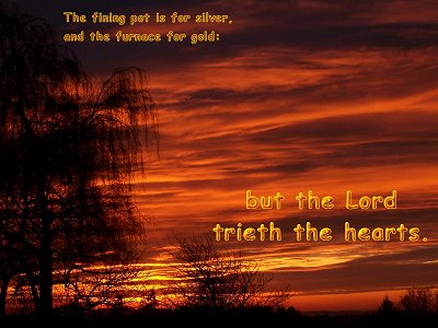 [The fining pot is for silver, and the furnace for gold: but the LORD trieth the hearts (Proverbs 17:3)]