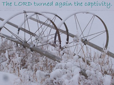 [The LORD turned again the captivity (Psalm 126:1)]