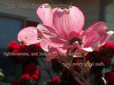 [Then shalt thou understand righteousness, and judgment, and equity; yea, every good path (Proverbs 2:9)]