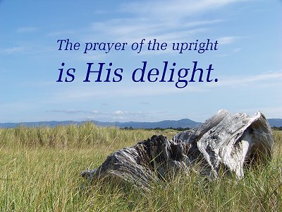 [The prayer of the upright is his delight (Proverbs 15:8)]