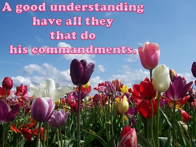 [A good understanding have all they that do his commandments (Psalm 111:10)]