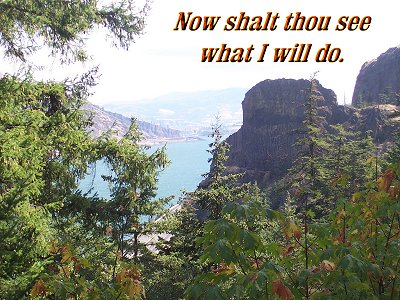[Now shalt thou see what I will do (Exodus 6:1)]
