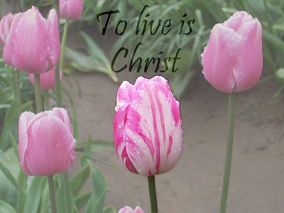 [The Scriptures say in Philippians 1:21 -- To live is Christ]